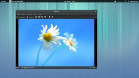 GS3.6Interface2.png